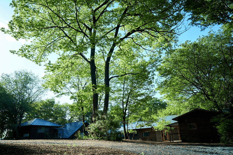 BATSUNAGU　栃木県大田原市森の中・自然を楽しむキャンプ場ファンド